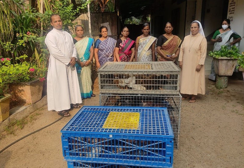 Provided Poultry Rearing Assistance to Widows